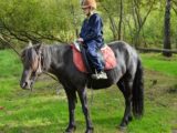 Ozdravný pobyt pro rodiny dětí s PAS-Mazlení s koníkem